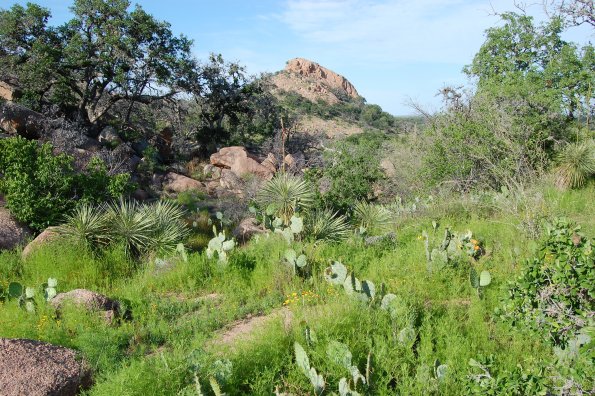 Enchanted Rock from below