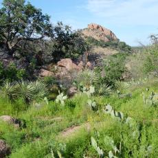 Enchanted Rock from below