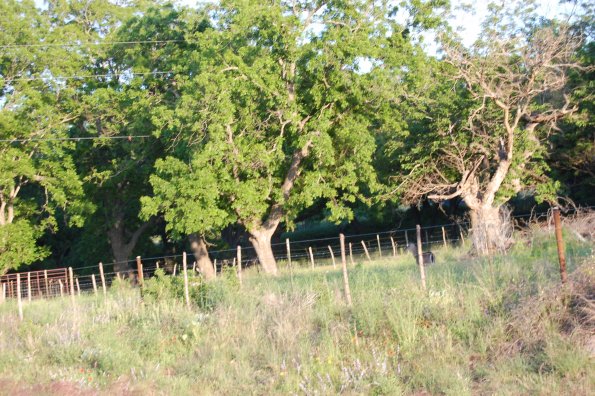 A drive through the hill country